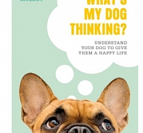 DK 2020新书 我的狗在想什么?What’s My Dog Thinking?: Understand Your Dog to Give Them a Happy Life