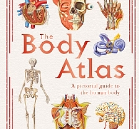 DK 2020新书 人体图集 The Body Atlas
