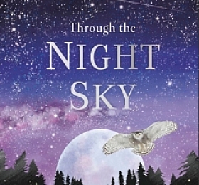 DK 2020新书 Through the Night Sky 穿越夜空