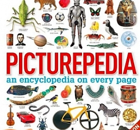 DK Picturepedia  An Encyclopedia on Every Page 2020 新版儿童图解百科全书