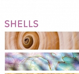 Shells Smithsonian Handbook DK2022